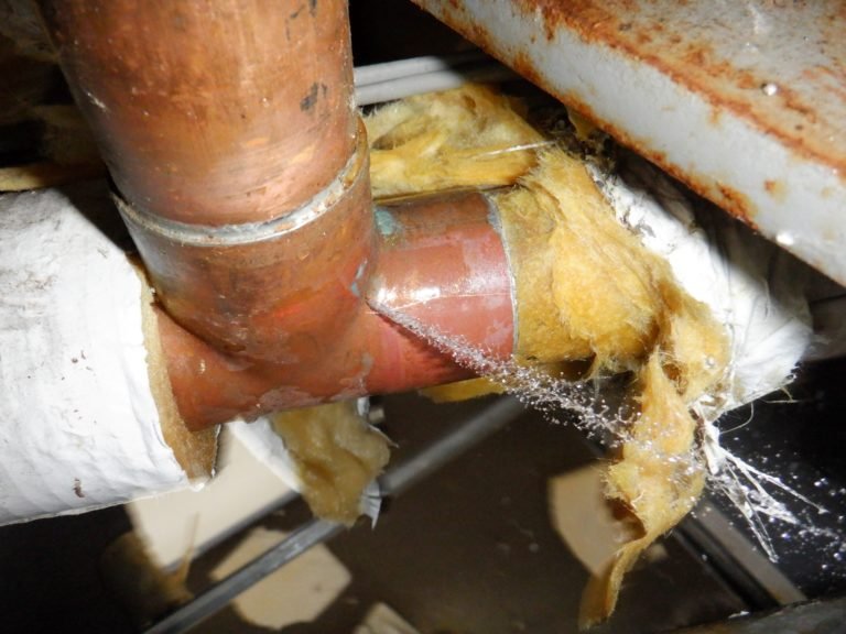 Mold inspection and remediation service Utah - certified professionals