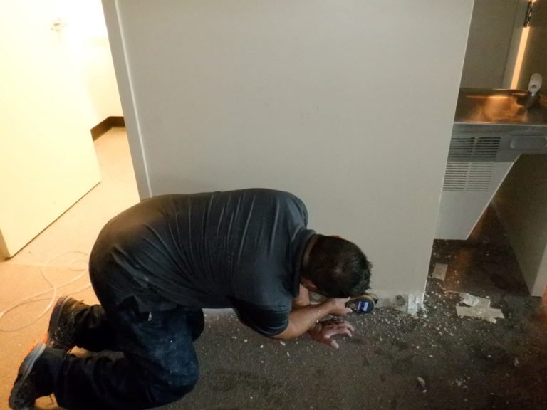 Mold removal and remediation certified service Utah