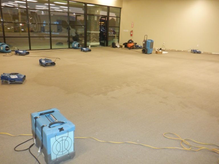 Professional odor removal and remediation service Utah